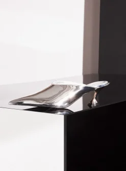 MUGLER Metallic leather Fang 55 mules